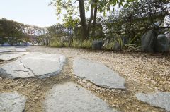 セキショウの小径