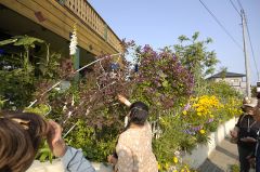 葉多野さんのお庭