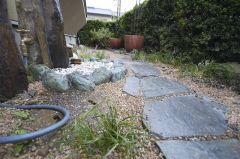 ジャノヒゲ追加 ジャノヒゲ追加