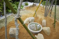 庭木定植 庭木定植