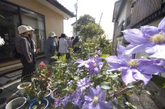 阿部恒代さんち