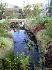 エキストラガーデンの池