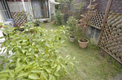 新規会員さんのお庭