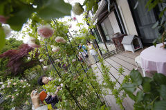 佐々木さんち 佐々木さんち