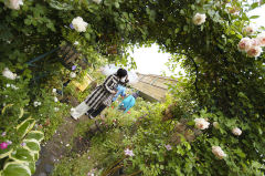 葉田野さんち 葉田野さんち