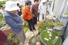 中村さんち 中村さんち