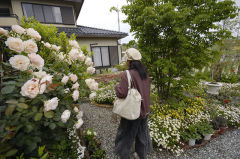 横山さんち 横山さんち