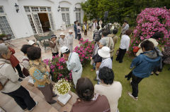 パレスいわや パレスいわや