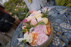 盛りバラ 盛りバラ