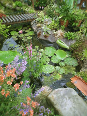 葉田野さんちの池