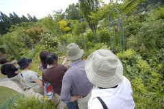 まんさく倶楽部フロントガーデン