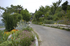 小島さんのお庭