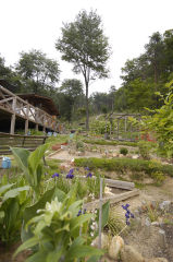 飯高さんのお庭