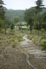 山桜に通じる階段上から