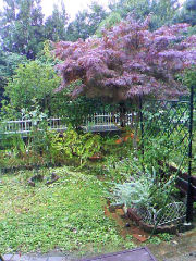 佐々木さん庭