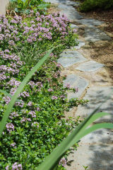 クリーピングタイム