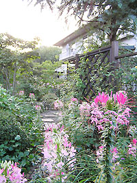 �N���I��